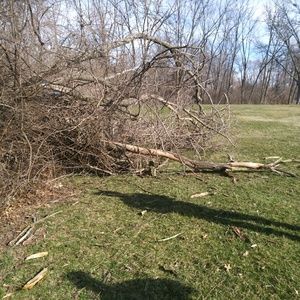 Meet your Posher, Earvin